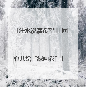 汗水浇灌希望田 同心共绘“绿画卷”