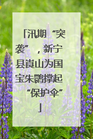 汛期“突袭”，新宁县崀山为国宝朱鹮撑起“保护伞”