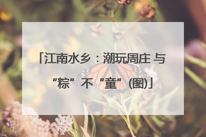 江南水乡：潮玩周庄 与“粽”不“童”(图)