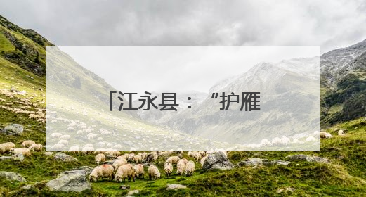 江永县：“护雁”宣讲进校园 助梦启航护成长