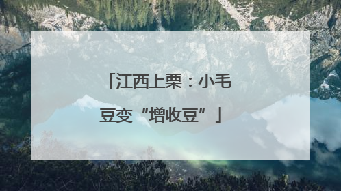 江西上栗：小毛豆变“增收豆”
