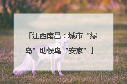 江西南昌：城市“绿岛”助候鸟“安家”
