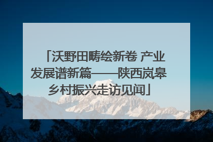 沃野田畴绘新卷 产业发展谱新篇——陕西岚皋乡村振兴走访见闻
