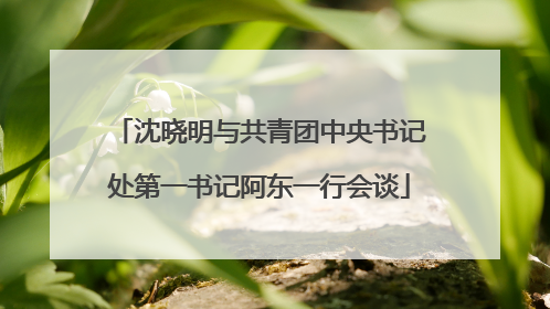 沈晓明与共青团中央书记处第一书记阿东一行会谈