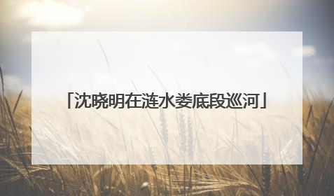 沈晓明在涟水娄底段巡河