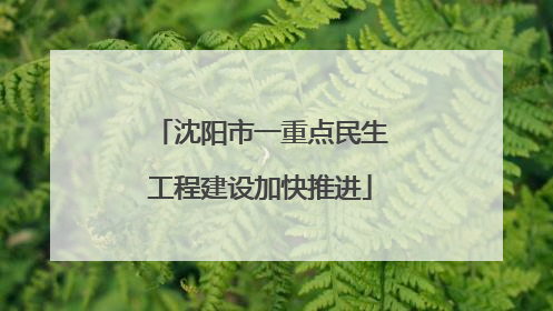 沈阳市一重点民生工程建设加快推进