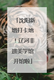 沈阳新增打卡地！辽河非遗美学馆开馆啦