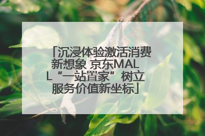 沉浸体验激活消费新想象 京东MALL“一站置家”树立服务价值新坐标