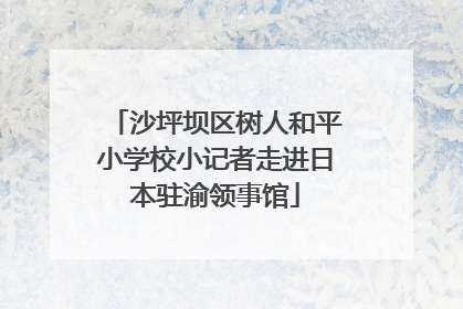 沙坪坝区树人和平小学校小记者走进日本驻渝领事馆