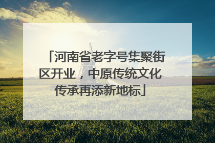 河南省老字号集聚街区开业，中原传统文化传承再添新地标