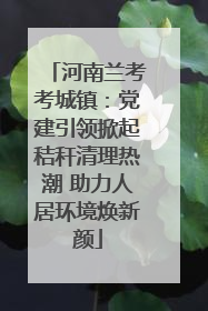 河南兰考考城镇：党建引领掀起秸秆清理热潮 助力人居环境焕新颜