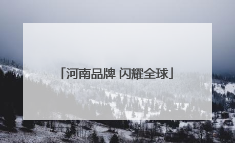 河南品牌 闪耀全球