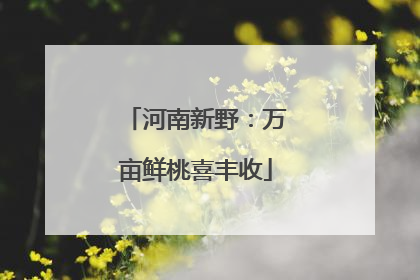 河南新野：万亩鲜桃喜丰收