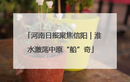河南日报聚焦信阳｜淮水激荡中原“船”奇