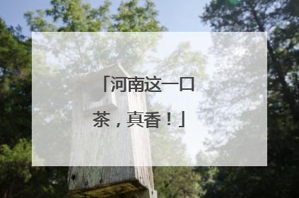 河南这一口茶，真香！