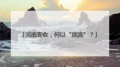 河南麦收，何以“顶流”？