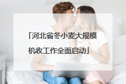河北省冬小麦大规模机收工作全面启动
