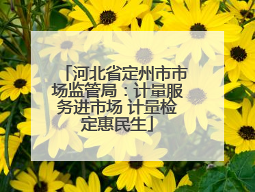 河北省定州市市场监管局：计量服务进市场 计量检定惠民生
