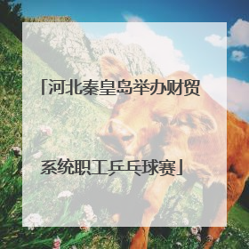 河北秦皇岛举办财贸系统职工乒乓球赛