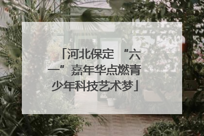 河北保定 “六一”嘉年华点燃青少年科技艺术梦