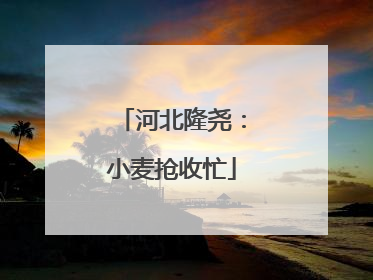 河北隆尧：小麦抢收忙