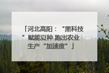 河北高阳：“黑科技”赋能夏种 跑出农业生产“加速度”