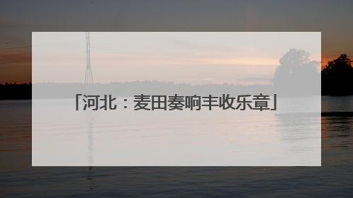河北：麦田奏响丰收乐章