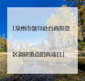 泉州市领导赴台商投资区调研重点招商项目