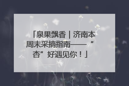 泉果飘香｜济南本周末采摘指南——“杏”好遇见你！