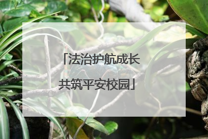 法治护航成长 共筑平安校园