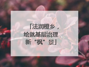 法润橙乡，绘就基层治理新“枫”景