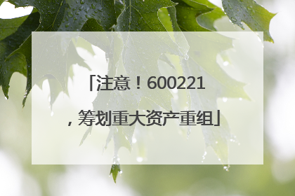 注意！600221，筹划重大资产重组