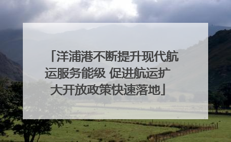 洋浦港不断提升现代航运服务能级 促进航运扩大开放政策快速落地