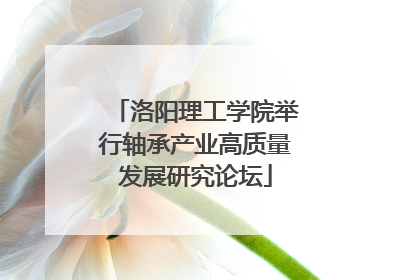 洛阳理工学院举行轴承产业高质量发展研究论坛