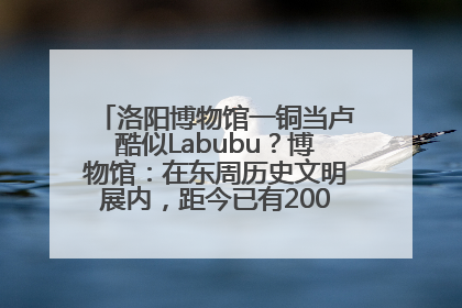 洛阳博物馆一铜当卢酷似Labubu？博物馆：在东周历史文明展内，距今已有2000多年历史
