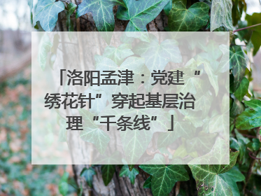 洛阳孟津：党建“绣花针”穿起基层治理“千条线”