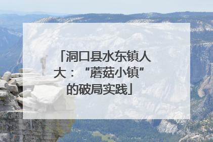 洞口县水东镇人大：“蘑菇小镇”的破局实践