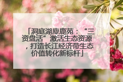 洞庭湖麋鹿苑：“三资盘活”激活生态资源，打造长江经济带生态价值转化新标杆