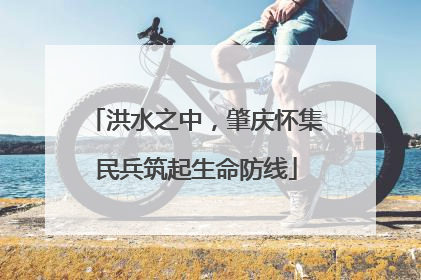 洪水之中，肇庆怀集民兵筑起生命防线