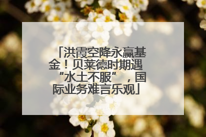 洪霞空降永赢基金！贝莱德时期遇“水土不服”，国际业务难言乐观