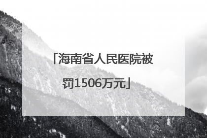 海南省人民医院被罚1506万元