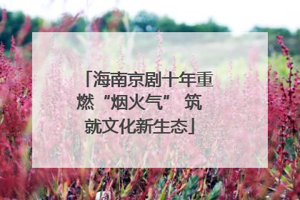 海南京剧十年重燃“烟火气” 筑就文化新生态