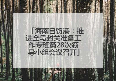 海南自贸港：推进全岛封关准备工作专班第28次领导小组会议召开