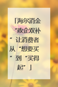 海尔消金“政企双补”让消费者从“想要买”到“买得起”