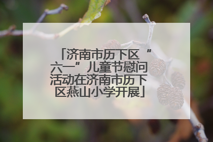 济南市历下区“六一”儿童节慰问活动在济南市历下区燕山小学开展