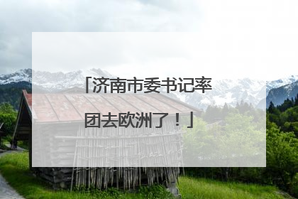 济南市委书记率团去欧洲了！