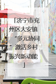 济宁市兖州区大安镇“多元协同”激活乡村振兴新动能