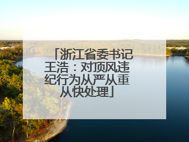浙江省委书记王浩：对顶风违纪行为从严从重从快处理