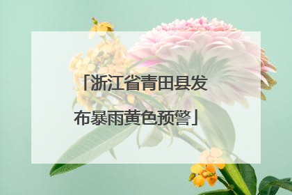 浙江省青田县发布暴雨黄色预警