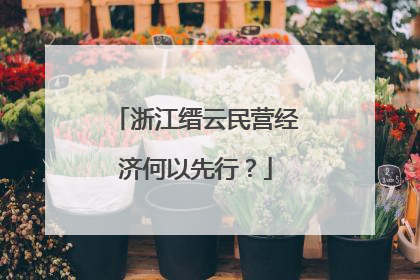 浙江缙云民营经济何以先行？